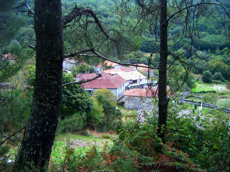 gorgua por teresalaloba.jpg